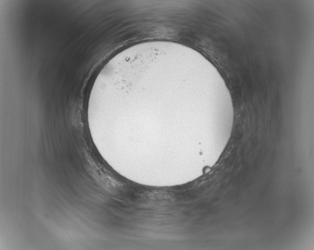 X0000073460146200608111519