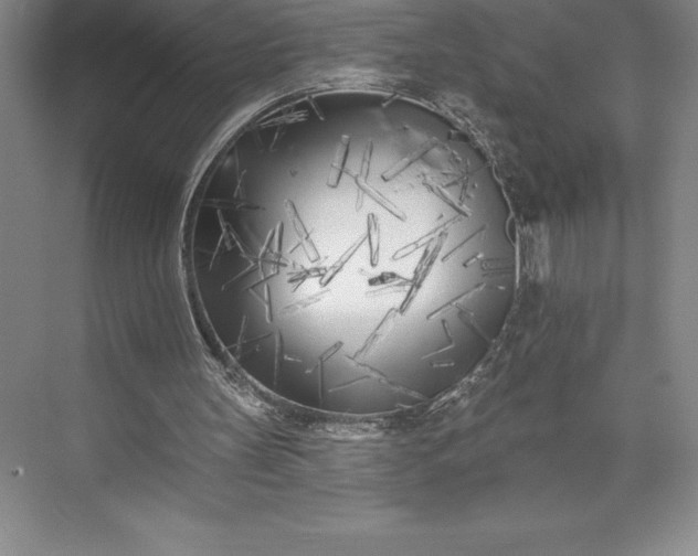 X0000073460147200608111519