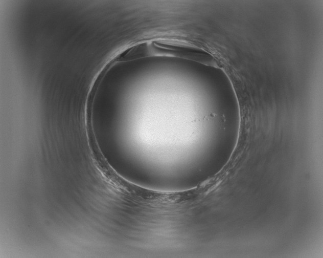 X0000073460148200608111519