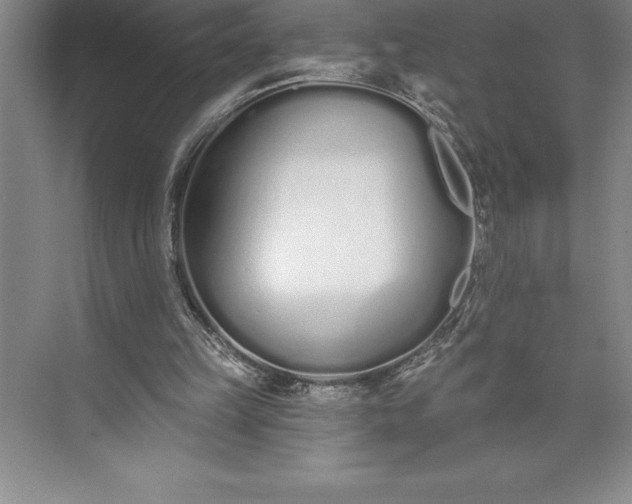 X0000073460149200608111519