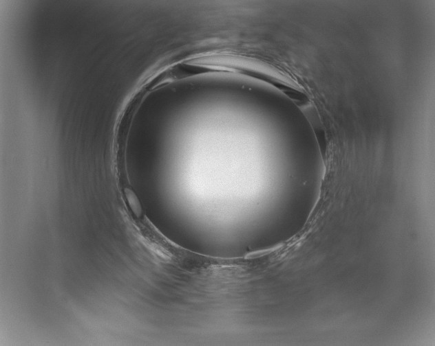 X0000073460150200608111519