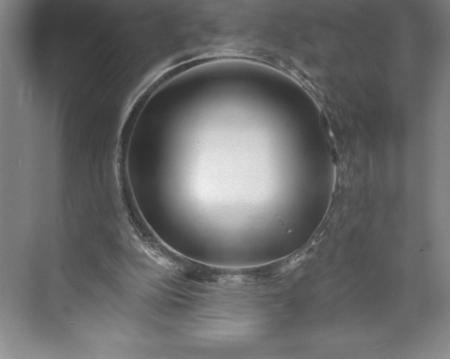 X0000073460152200608111519