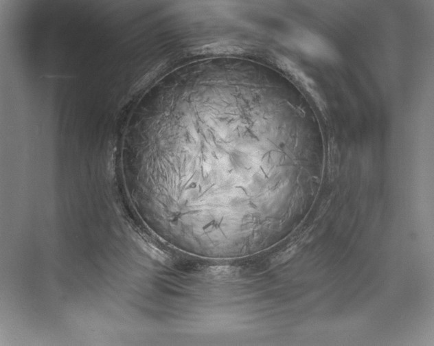 X0000073460153200608111519