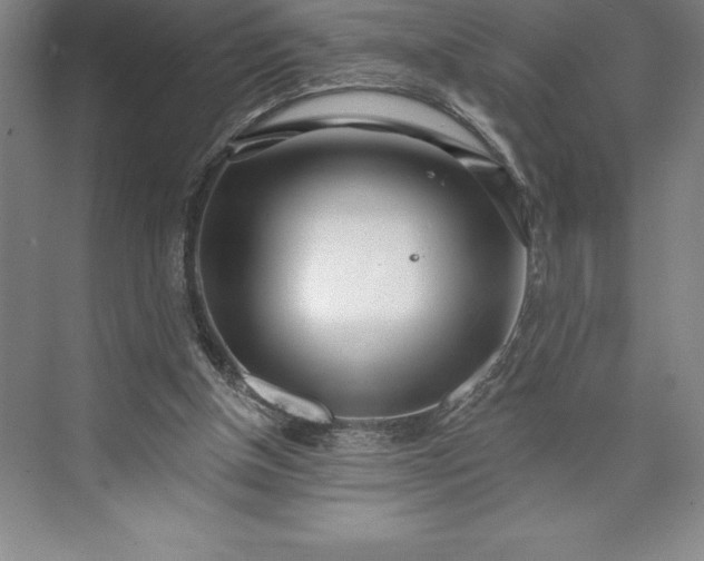 X0000073460154200608111519