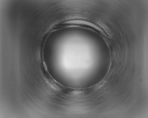 X0000073460158200608111519