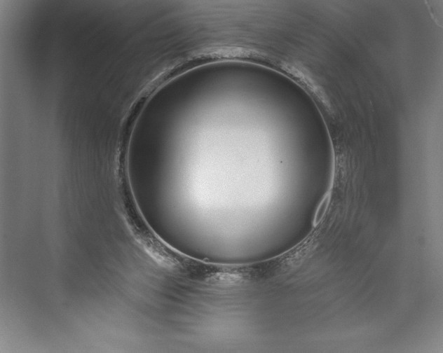 X0000073460159200608111519