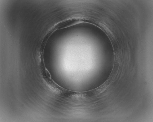 X0000073460160200608111519