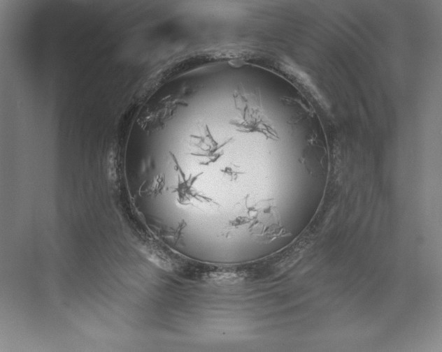 X0000073460161200608111519