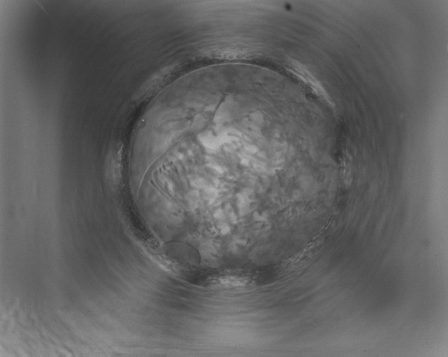 X0000073460163200608111519