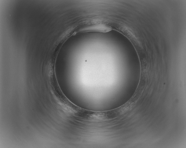 X0000073460164200608111519