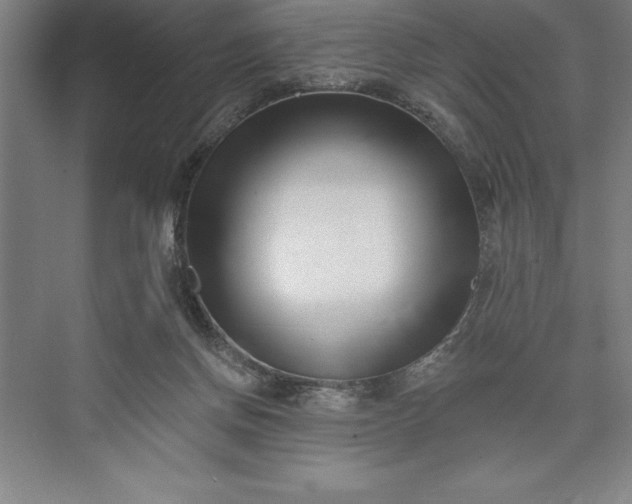 X0000073460166200608111519