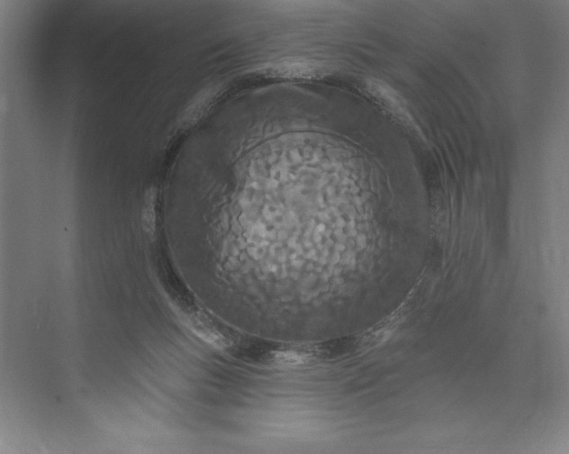 X0000073460167200608111519