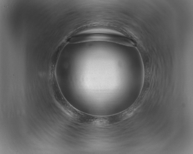 X0000073460168200608111519