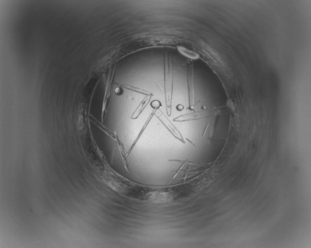 X0000073460169200608111519