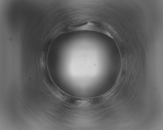 X0000073460170200608111519