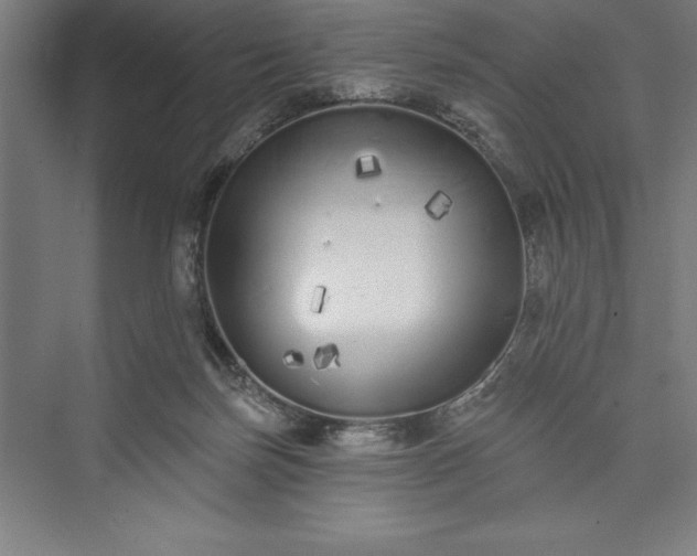 X0000073460171200608111519