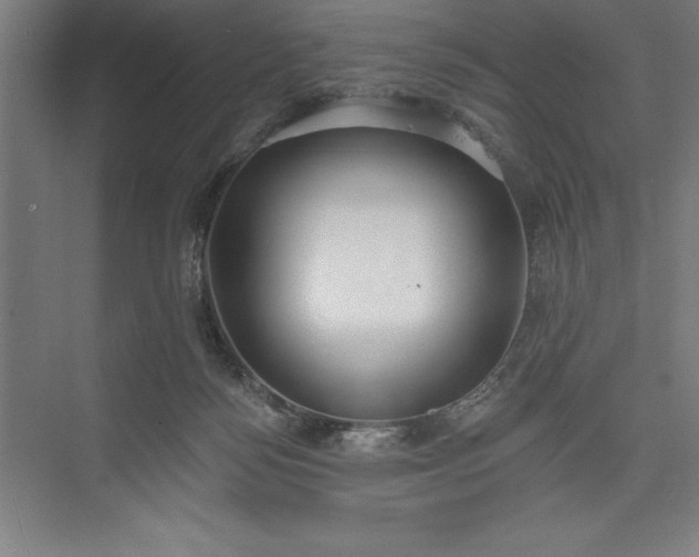 X0000073460172200608111519