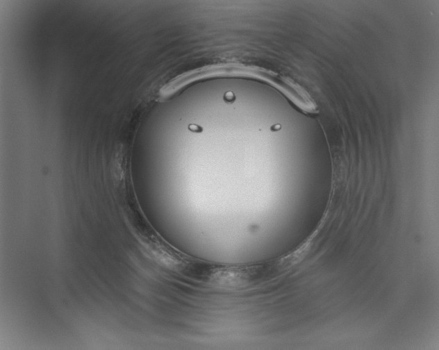 X0000073460174200608111519