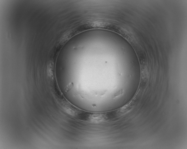 X0000073460175200608111519