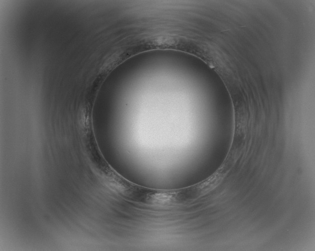 X0000073460176200608111519