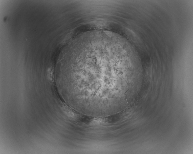 X0000073460177200608111519