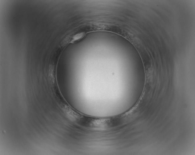 X0000073460178200608111519