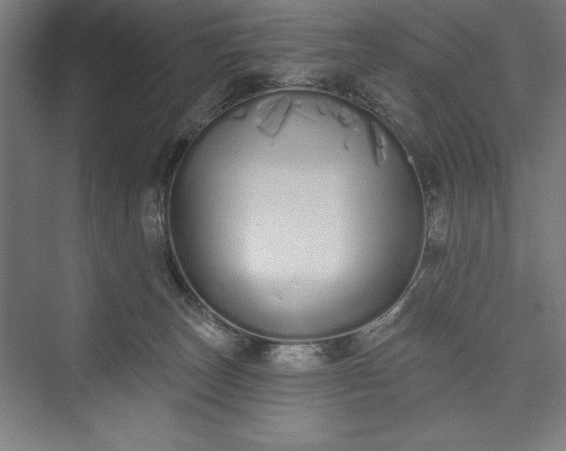 X0000073460179200608111519