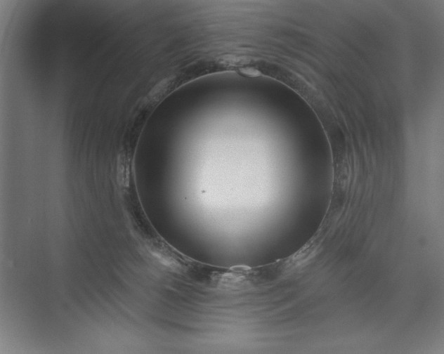 X0000073460180200608111519