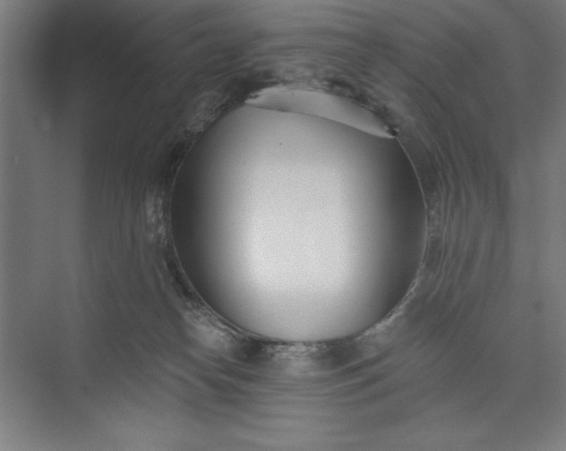 X0000073460182200608111519