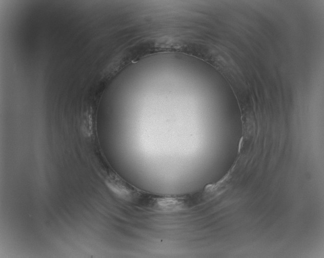 X0000073460183200608111519