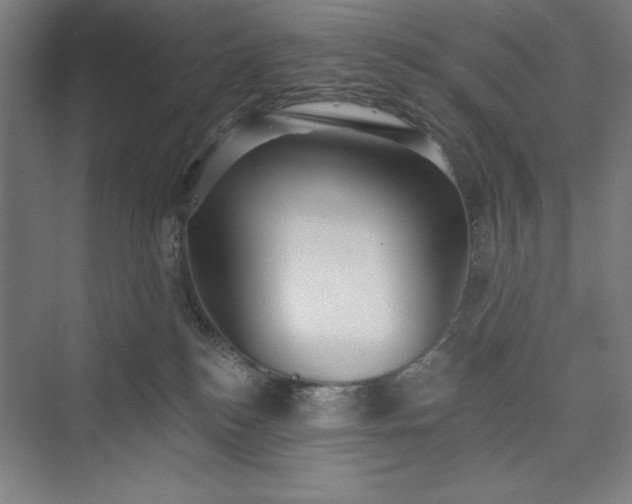 X0000073460184200608111519