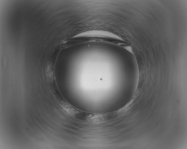 X0000073460186200608111519