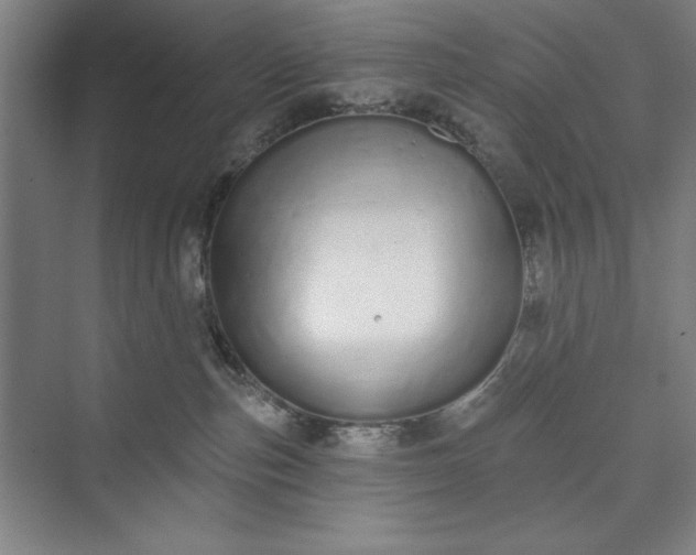 X0000073460187200608111519