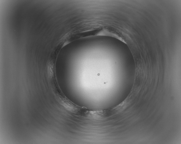 X0000073460188200608111519