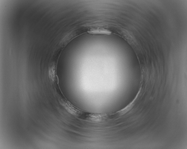 X0000073460190200608111520