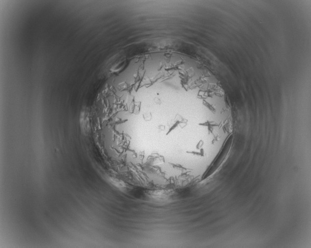 X0000073460191200608111520