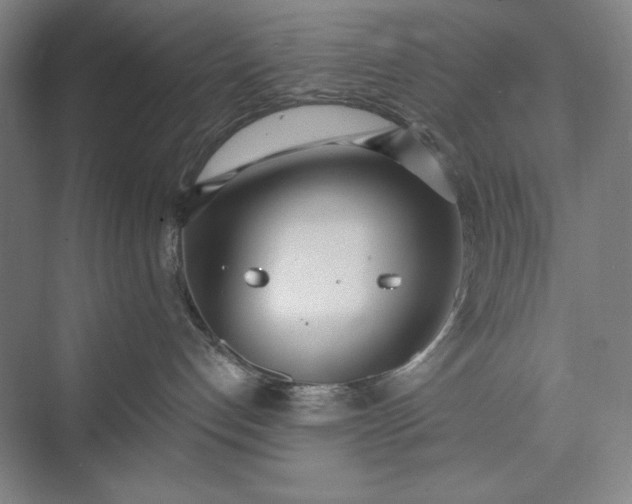 X0000073460192200608111520