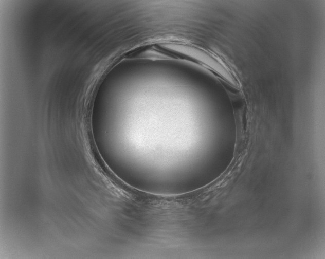 X0000073460193200608111519