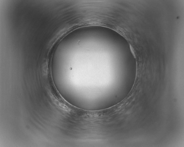 X0000073460194200608111519