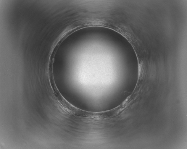 X0000073460195200608111519