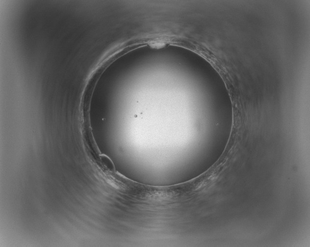 X0000073460198200608111519