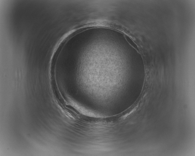 X0000073460200200608111519