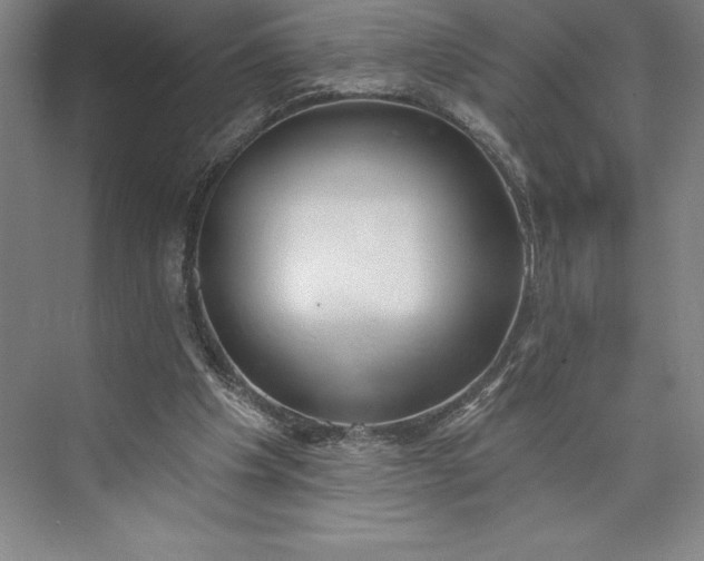 X0000073460201200608111519