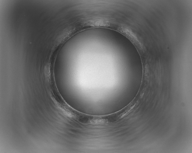 X0000073460202200608111519