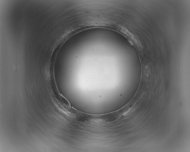 X0000073460203200608111519