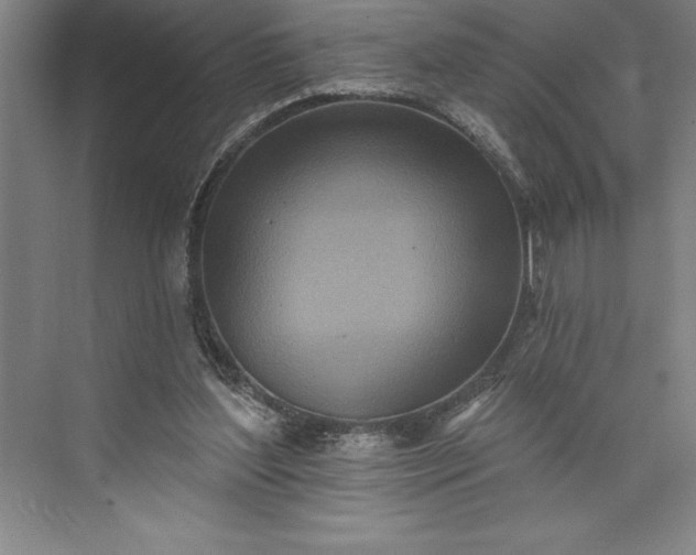 X0000073460204200608111519