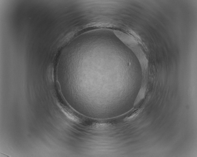 X0000073460205200608111519