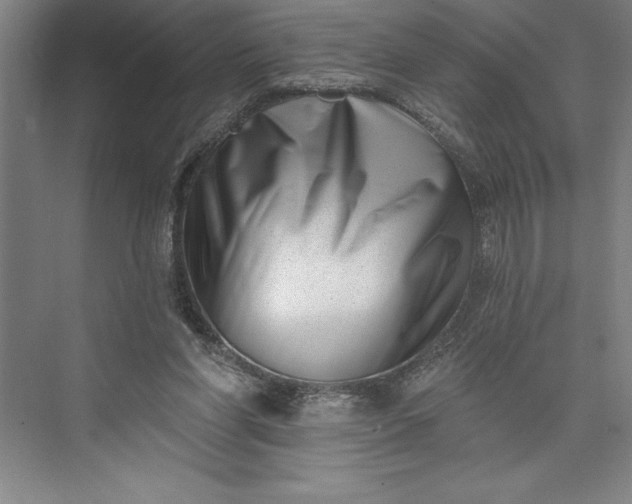 X0000073460206200608111519