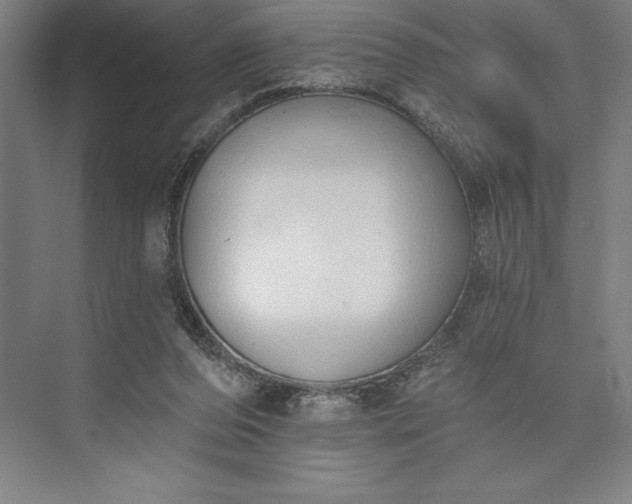 X0000073460208200608111518