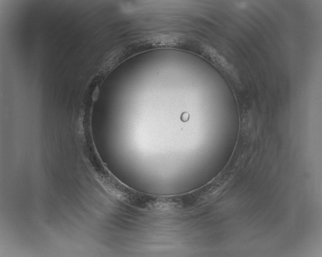 X0000073460209200608111518